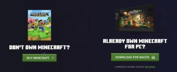 Minecraft Start the Download