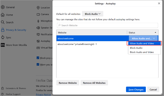 Opt for allow audio and video