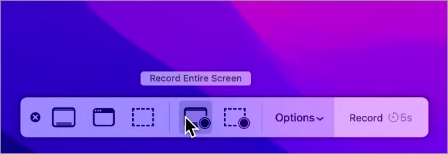 Record Entire Screen