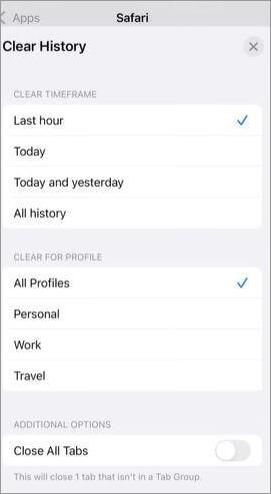 Safari Clear History and Website Data