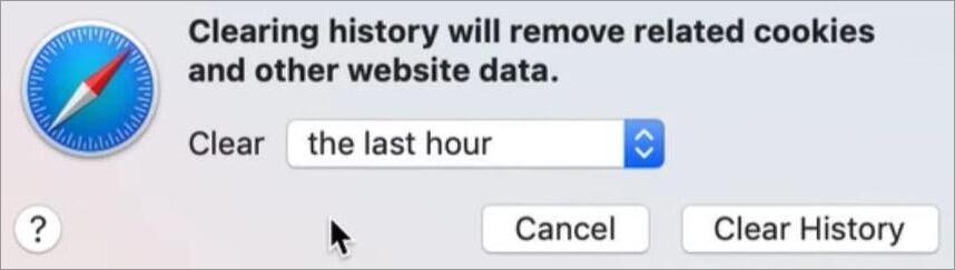 Safari Clear History