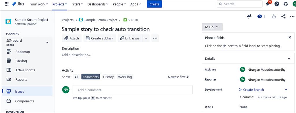 Sample issue in To Do status.