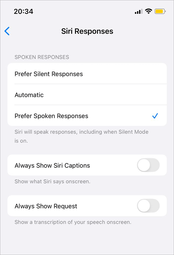 Siri Response options