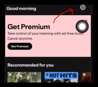 Spotify Mobile settings