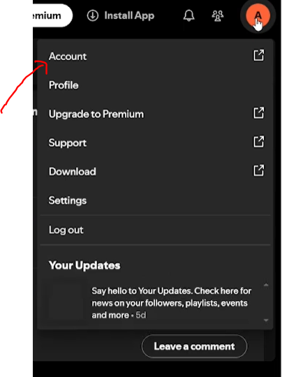Spotify account page