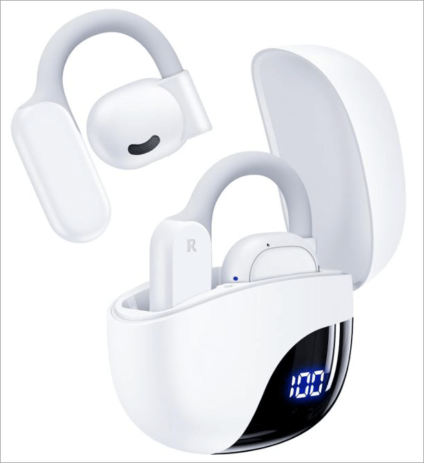Tagry AI Translation Earbuds
