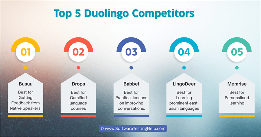 Top Duolingo Competitors