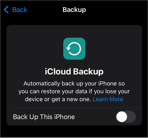 Turn on Back up this phone