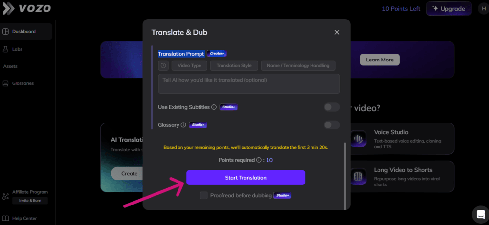 Vozo AI Start Translation