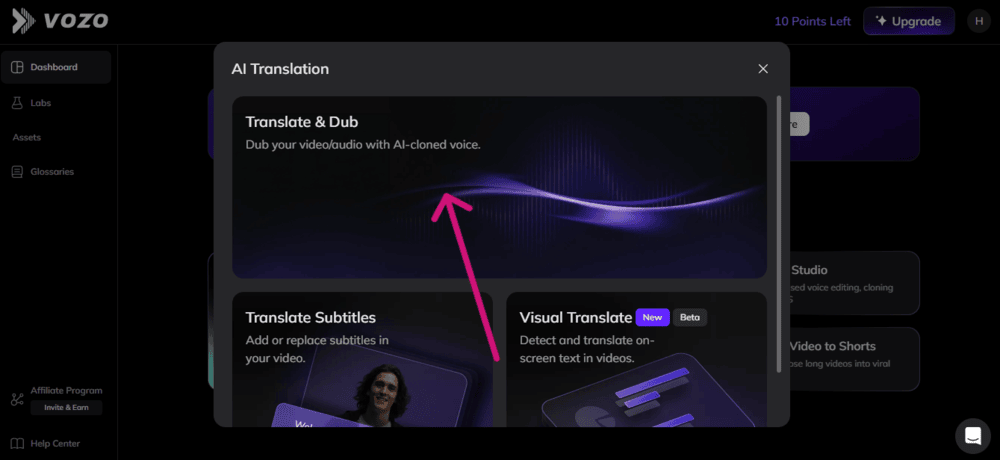 Vozo AI Translate and Dub