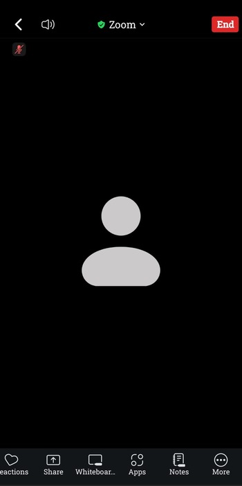 Zoom meeting more option