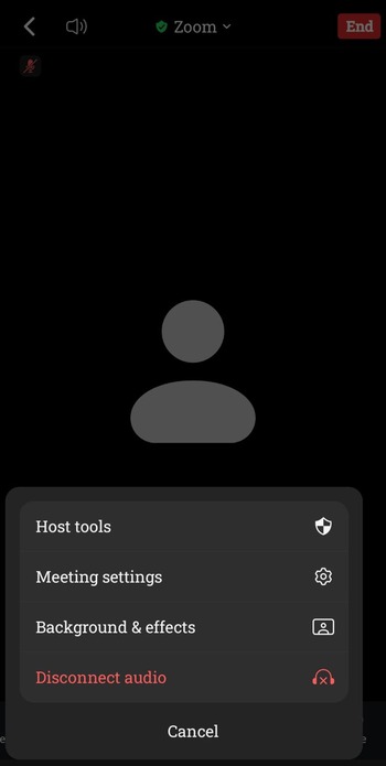 zoom meeting - background & effect