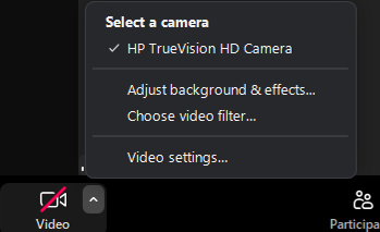 Zoom video option