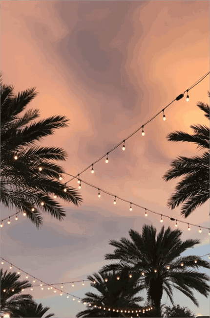 beach wallpaper