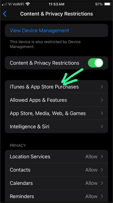 iTunes & App Store Purchases
