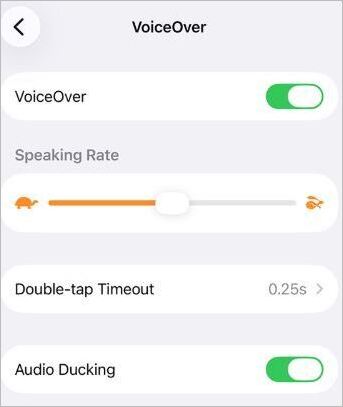 Voice Over