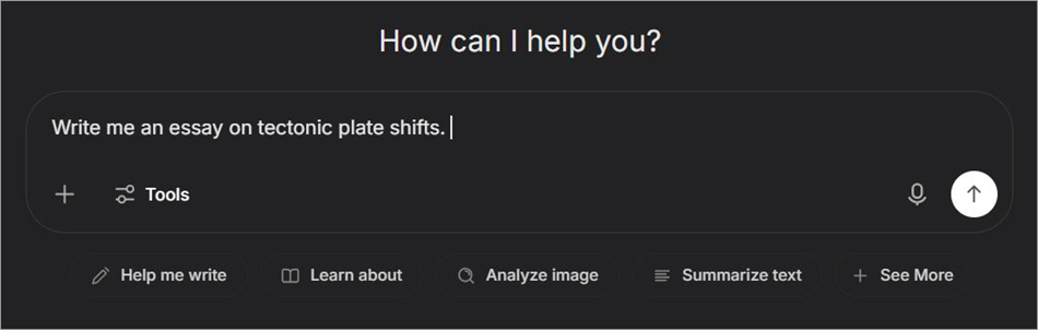 main chat interface