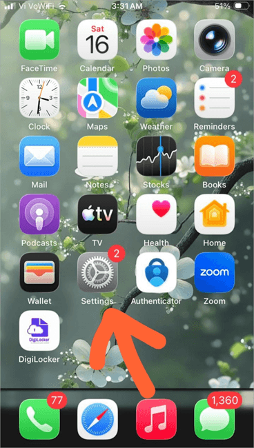 settings option