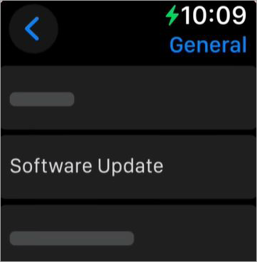 software update